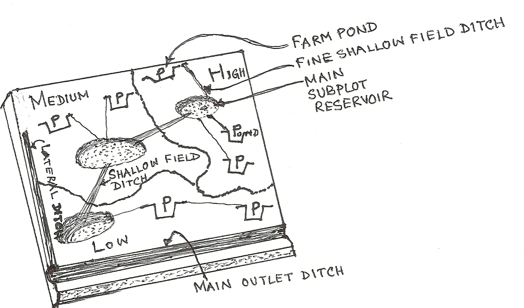 Mauza wise rainwater harvesting ponds with random drain system (sketch- Not to scale)