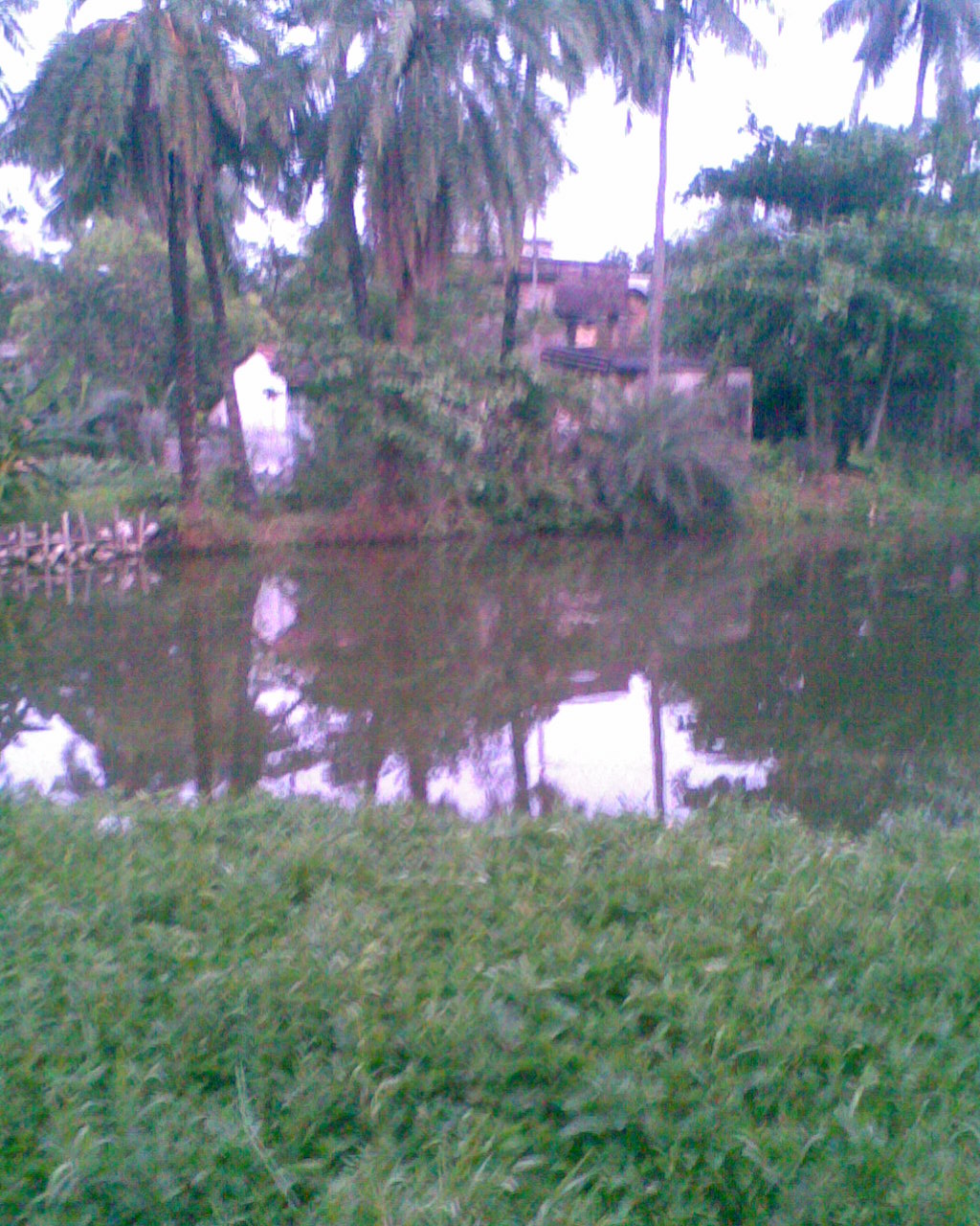 Rain Water Harvesting Pond